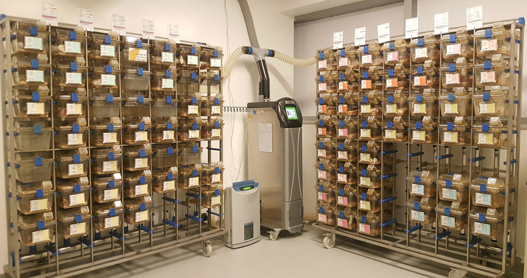 醫(yī)學(xué)實(shí)驗(yàn)室  動(dòng)物房案例  精鋒醫(yī)療