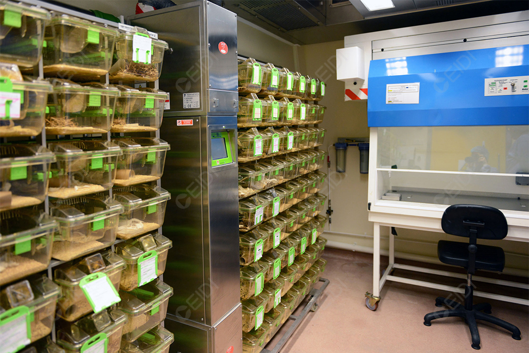 SPF動物實驗室如何控制環(huán)境及凈化空調節(jié)能方案設計  CEIDI西遞